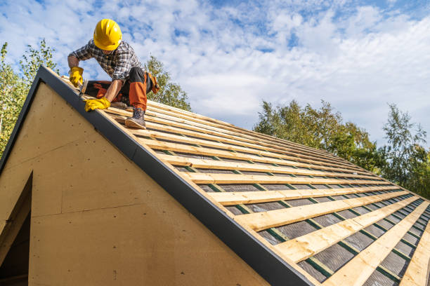 Professional Roofing Contractor in St Paul, MN